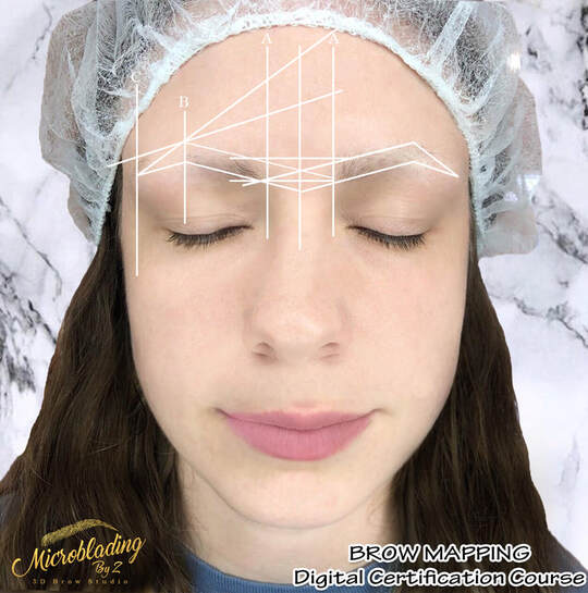 Microblading-Training-Online-Brow-Mapping
